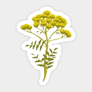 Tansy Flowers - Hand-painted Floral Artwork of the Herb Tansy Sticker